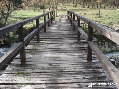 Bosque de Finlandia - Valle de El Paular;gredos rutas asociaciones senderismo rios y senderos